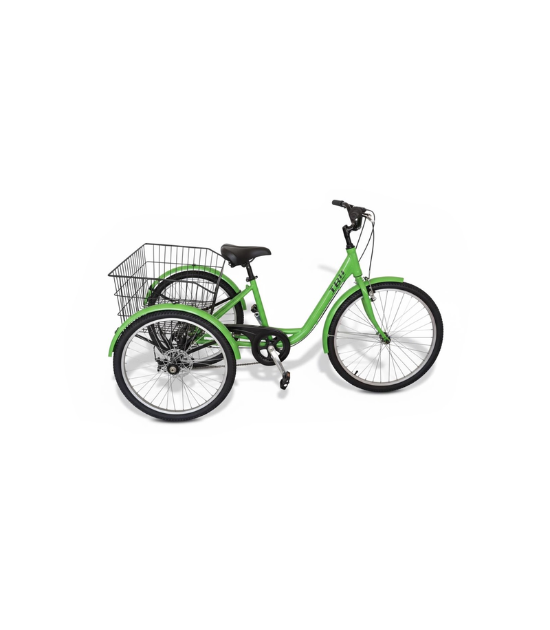 Triciclo Elétrico IBH Model 2