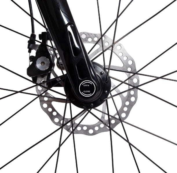 Bicicleta Elétrica CARBO X