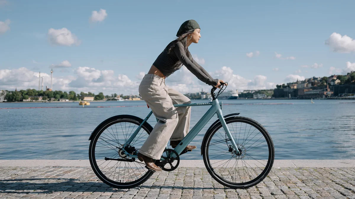 Bicicleta Elétrica TENWAYS CGO600 Pro