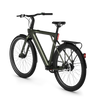 Bicicleta Elétrica TENWAYS CGO009