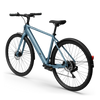 Bicicleta Elétrica TENWAYS CGO600 Plus