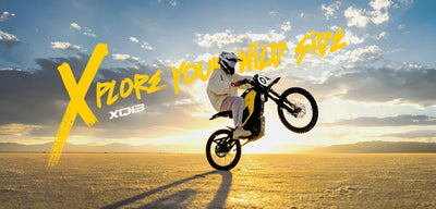 Scooter Elétrica NIU XQi3