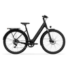 Bicicleta Elétrica TENWAYS CGO800S Plus