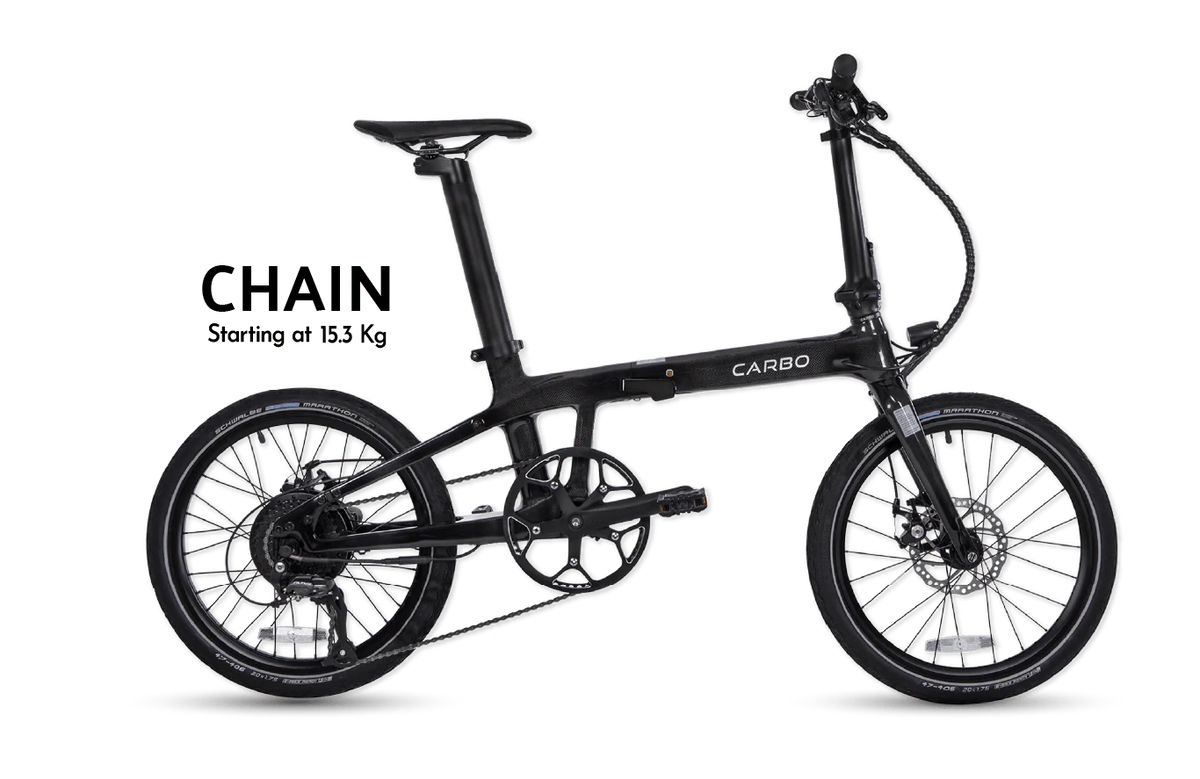 Bicicleta Elétrica CARBO S