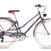 Bicicleta Urbana Eleven FADE 700