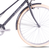 Bicicleta Urbana Eleven FADE 700