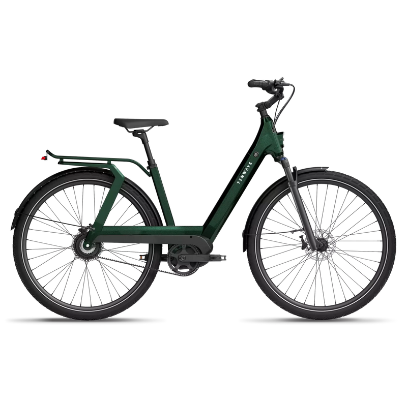 Bicicleta Elétrica TENWAYS AGO T