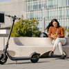 Trotinete Elétrica Segway Ninebot KickScooter F2 E