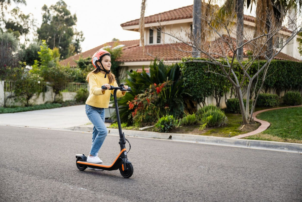 Trotinete Elétrica Segway Ninebot C2 E – foto 2