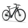 Bicicleta Elétrica TENWAYS CGO600